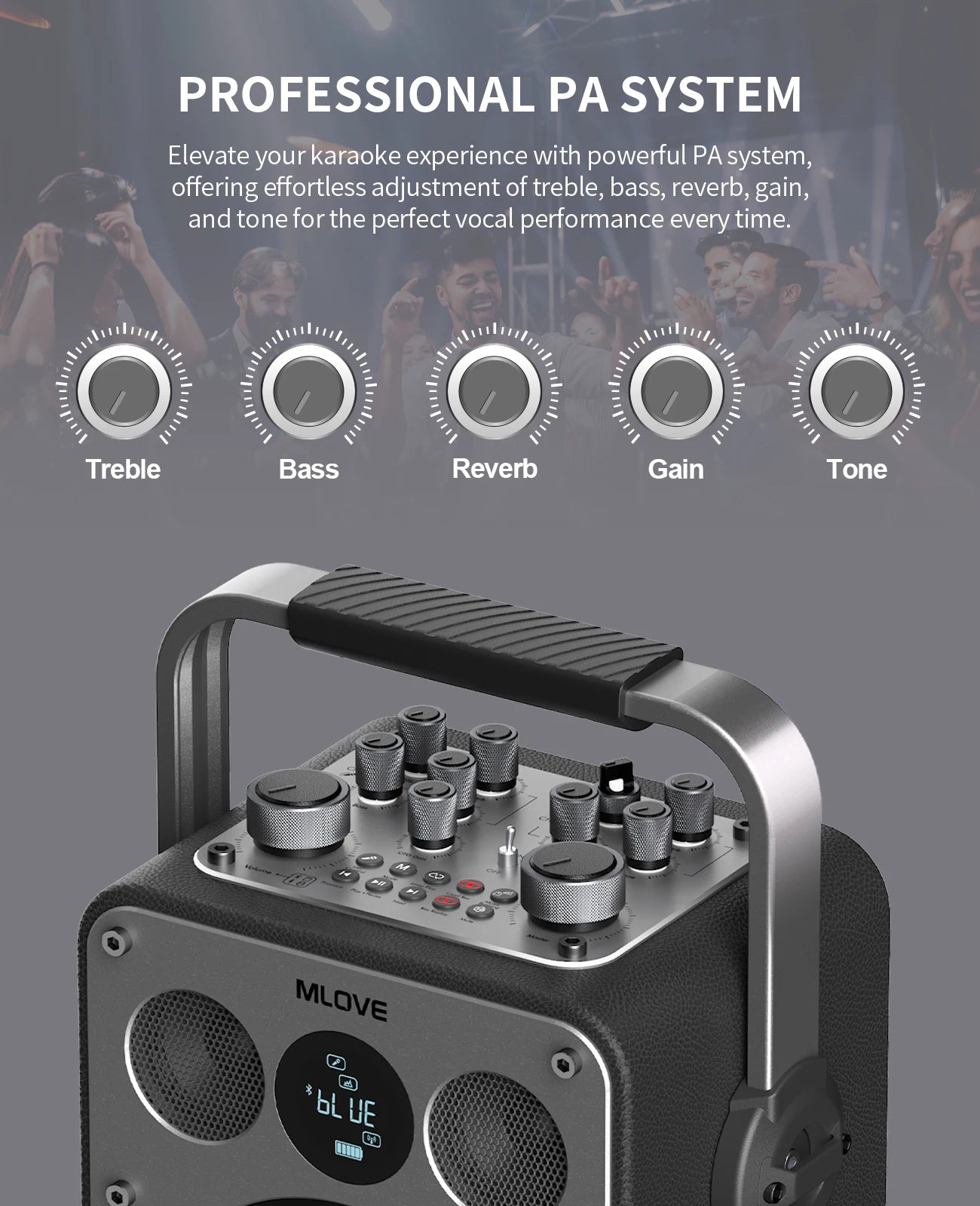 Professional Karaoke Machine with Bluetooth and 2 Wireless Microphones, Portable