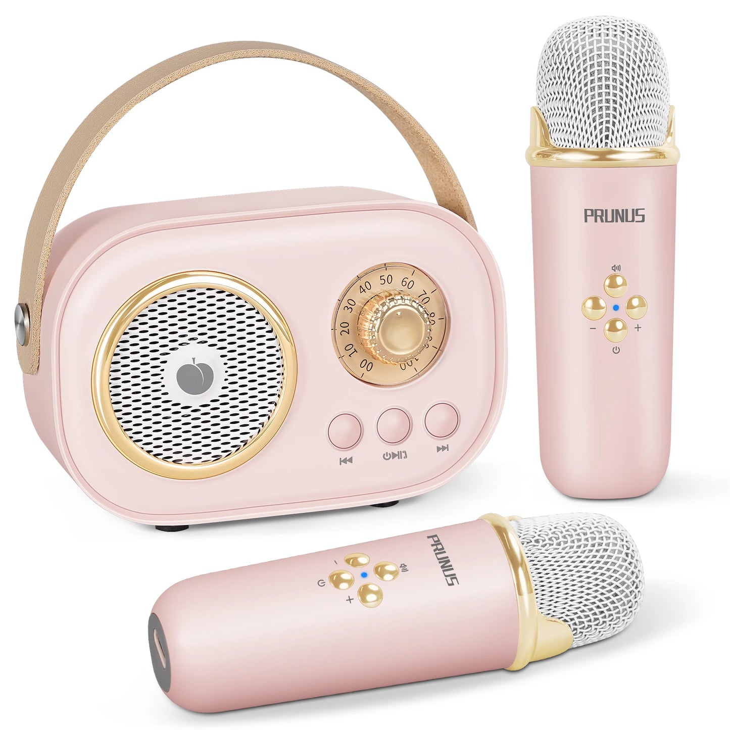 Mini Karaoke Machine Portable Bluetooth Speaker with 2 Wireless Microphones