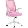 Mid-back Swivel Ergonomic Office Chair With Adjustable Arms Mesh Lumbar Support