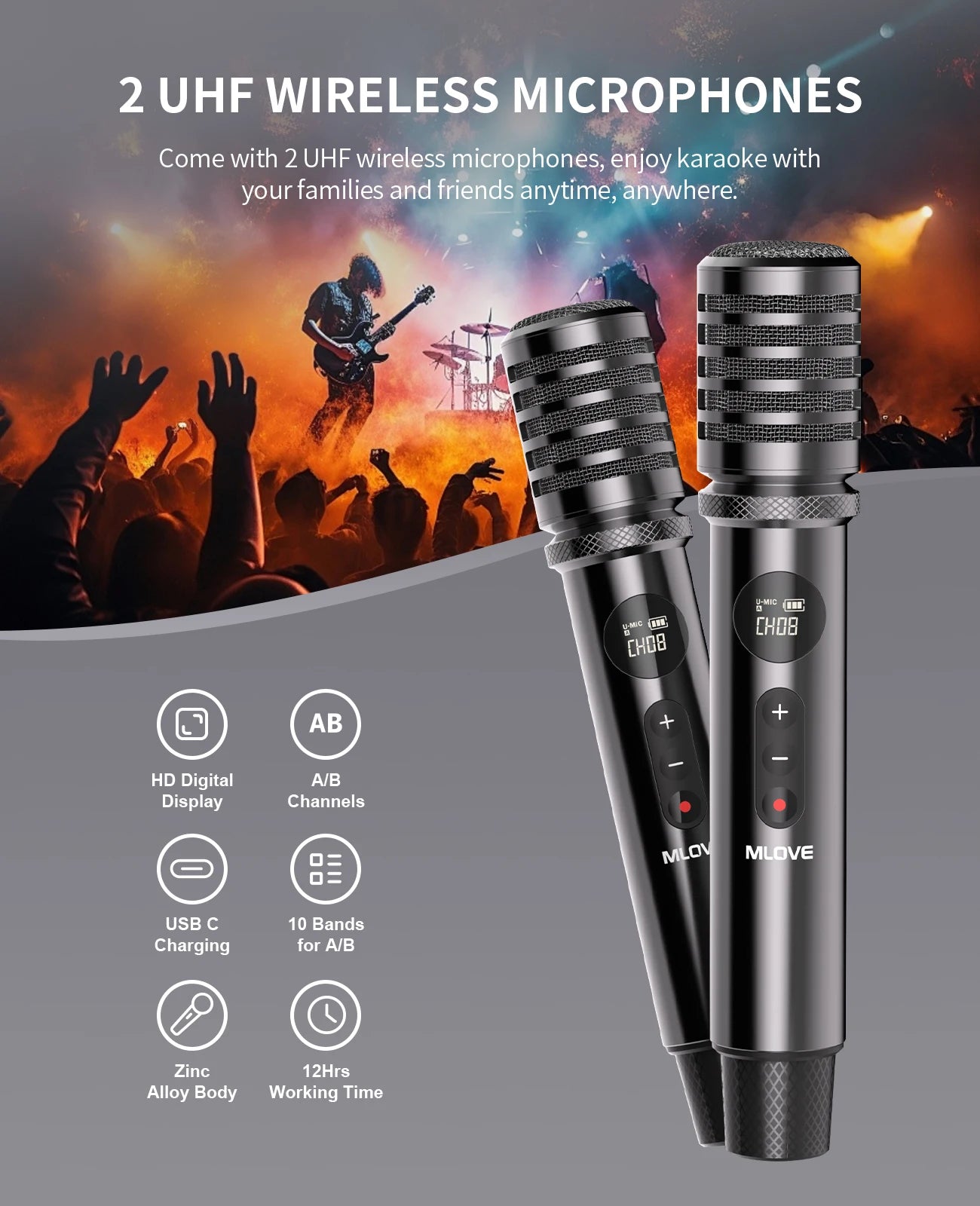 Professional Karaoke Machine with Bluetooth and 2 Wireless Microphones, Portable