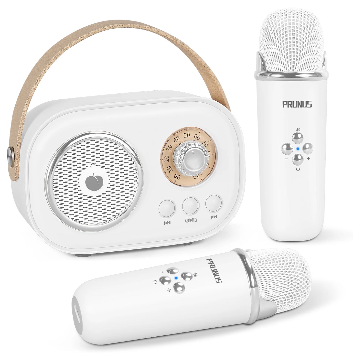 Mini Karaoke Machine Portable Bluetooth Speaker with 2 Wireless Microphones