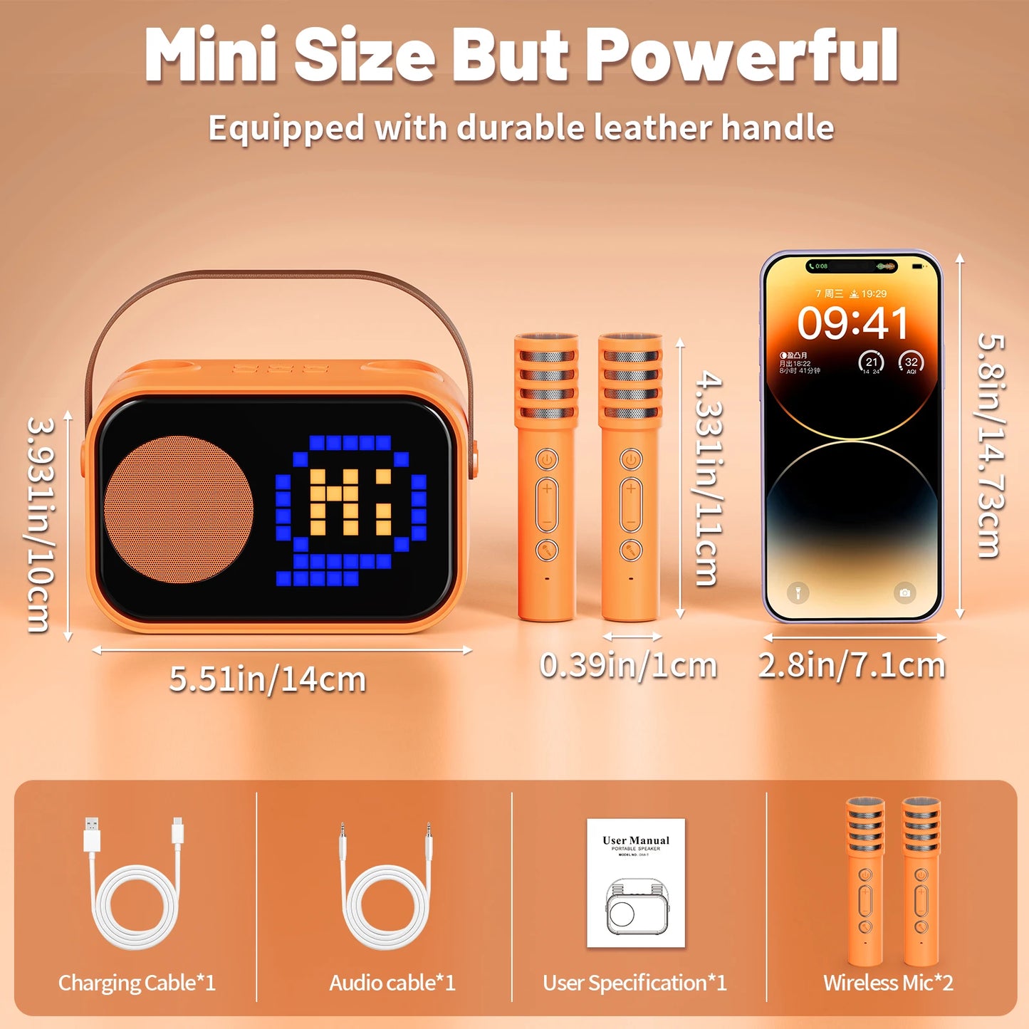 Karaoke Machine for Children and Adults with 2 Wireless Microphones
