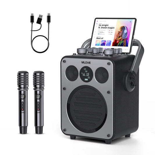 Professional Karaoke Machine with Bluetooth and 2 Wireless Microphones, Portable