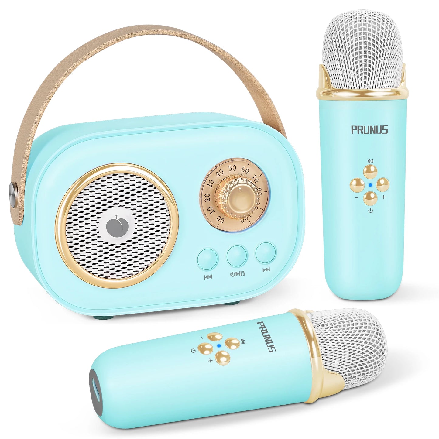 Mini Karaoke Machine Portable Bluetooth Speaker with 2 Wireless Microphones