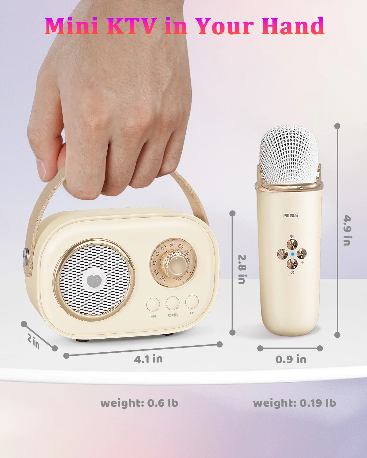 Mini Karaoke Machine Portable Bluetooth Speaker with 2 Wireless Microphones