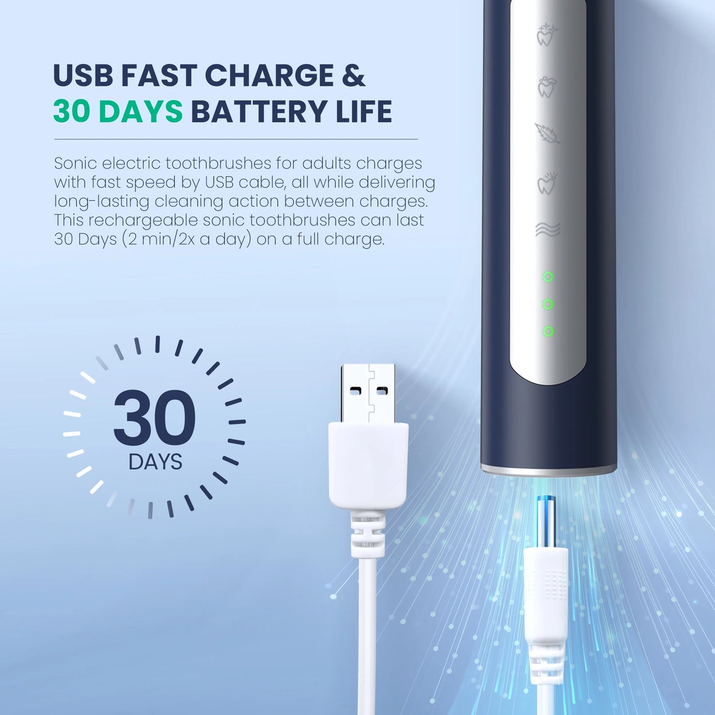 Electric Sonic Toothbrush with 10 pcs Replacement Heads Rechargeable Waterproof