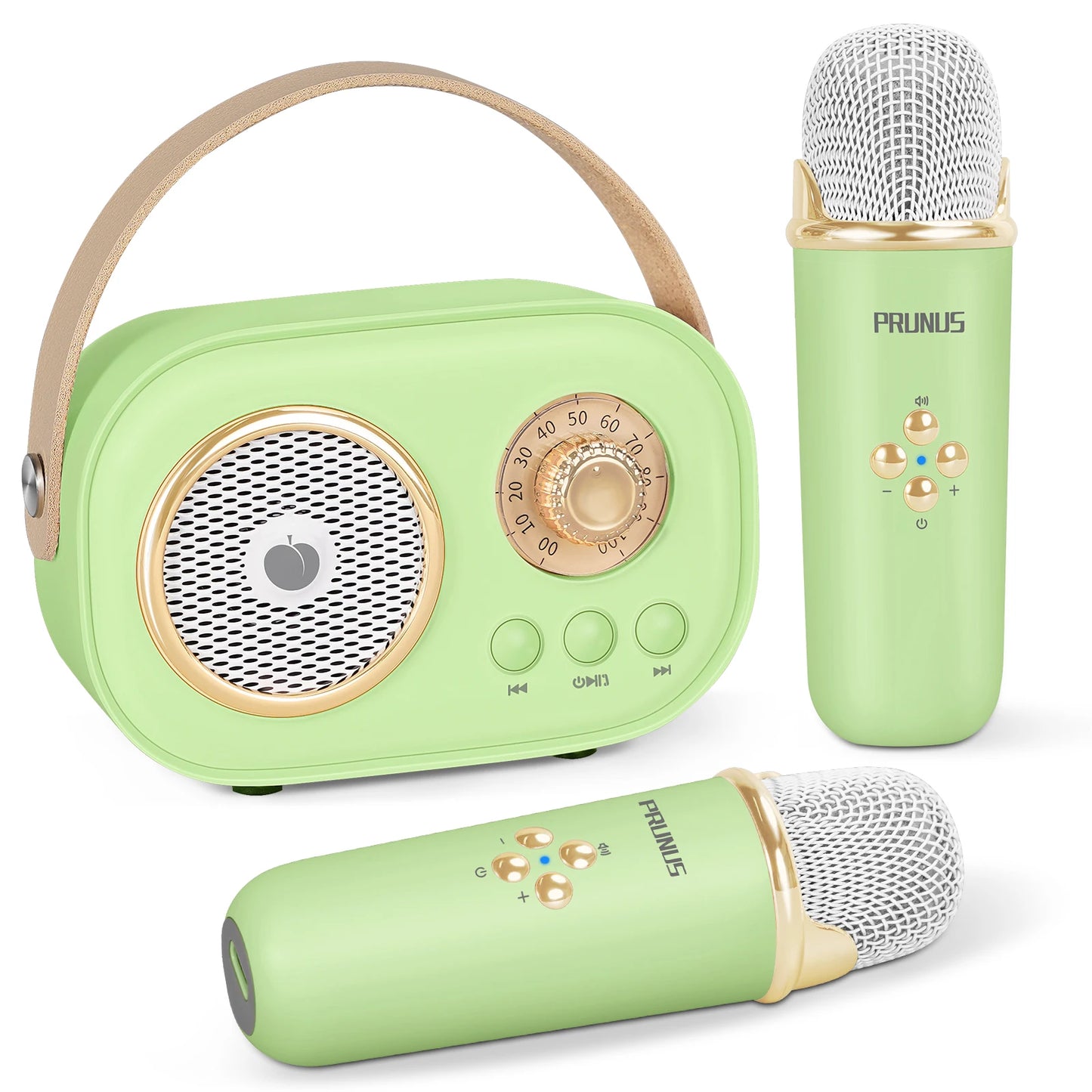 Mini Karaoke Machine Portable Bluetooth Speaker with 2 Wireless Microphones