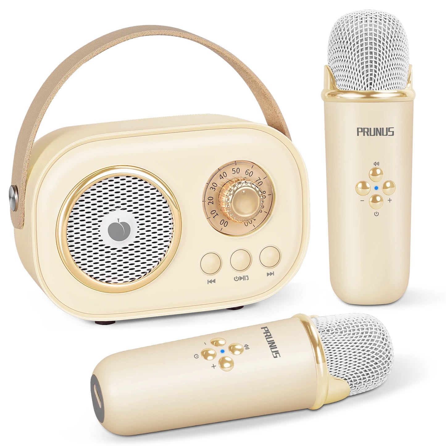 Mini Karaoke Machine Portable Bluetooth Speaker with 2 Wireless Microphones